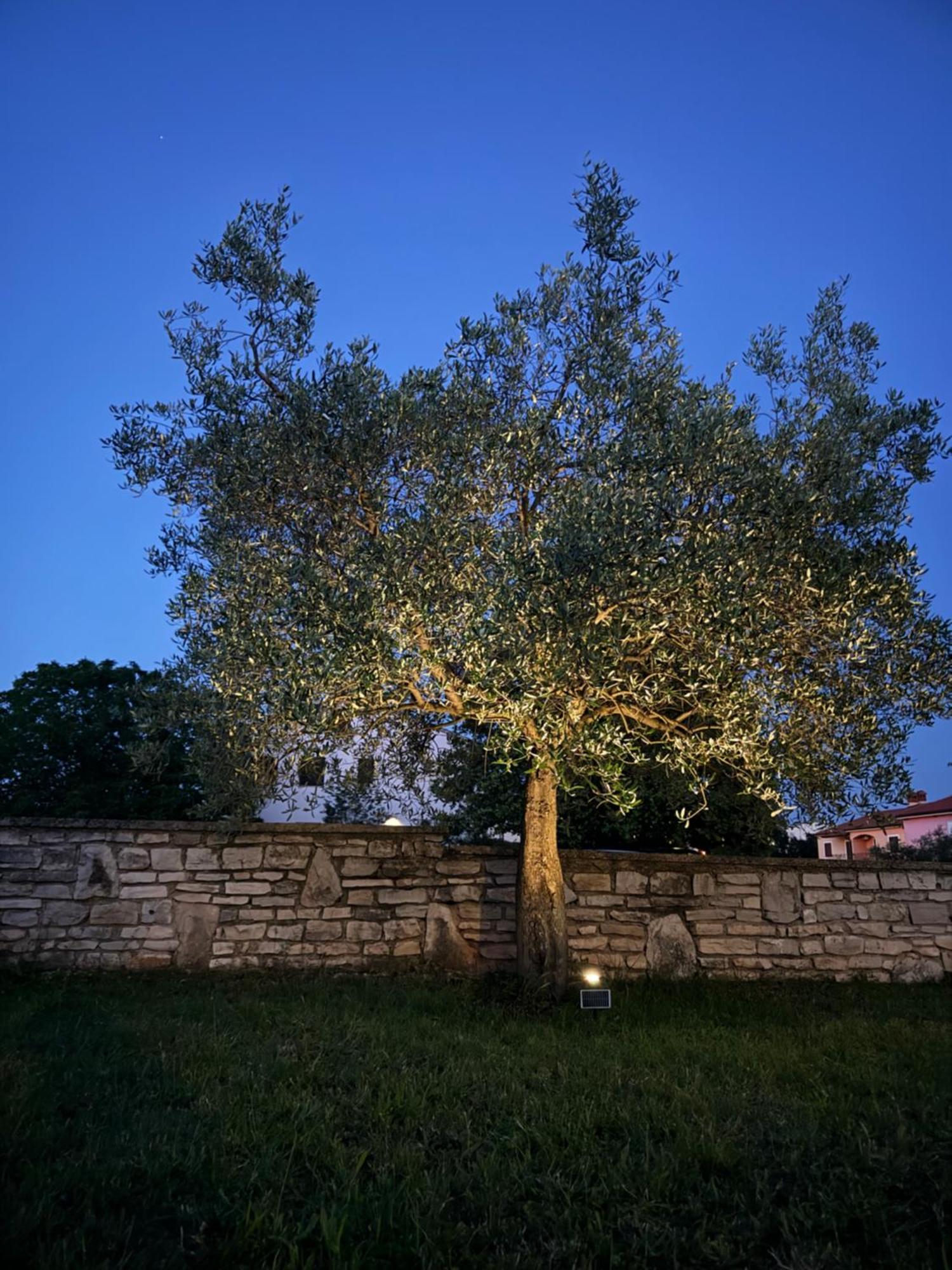 Apartman Ostrea *** Bale Exterior foto
